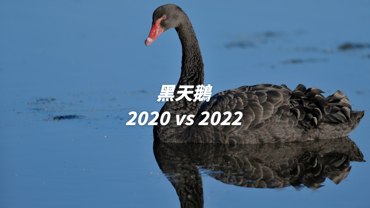 覆盤 2020 年加密貨幣黑天鵝事件，與本次 2022 FTX 事件也高度相似？