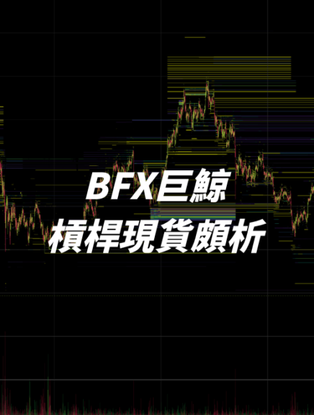 以槓桿現貨抓準 BFX 交易所 巨鯨進出場，與大戶同行！