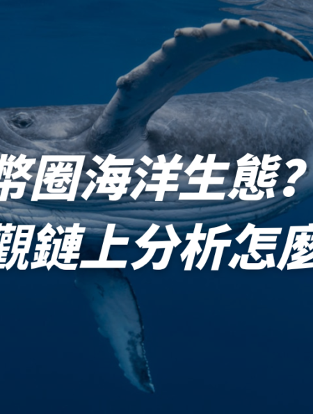 幣圈海洋生態？鯨魚、巨鯨、遠古巨鯨到底是什麼？宏觀鏈上分析怎麼看
