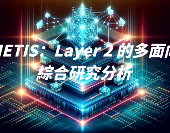 METIS：Layer 2 的多面向綜合研究分析