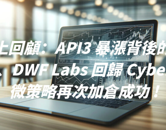 鏈上回顧：API3 暴漲背後的秘密、DWF Labs 回歸 Cyber ? 微策略再次加倉成功 !