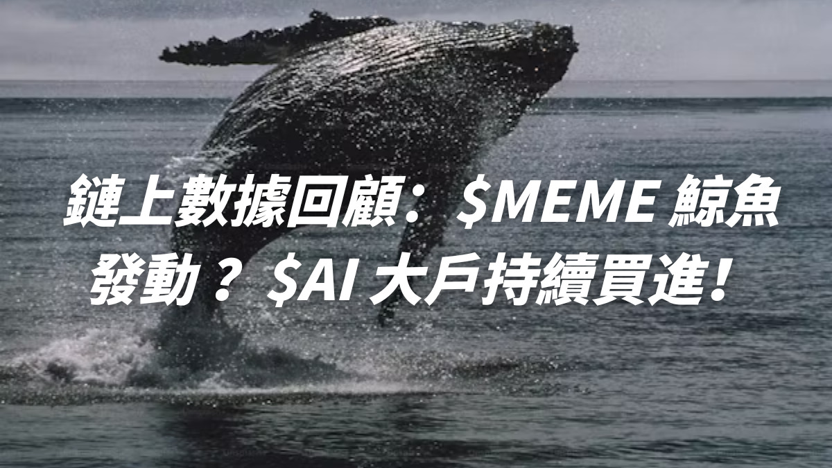 鏈上數據回顧：$MEME 鯨魚發動？$AI 大戶持續買進！