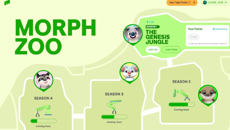 Morph Zoo