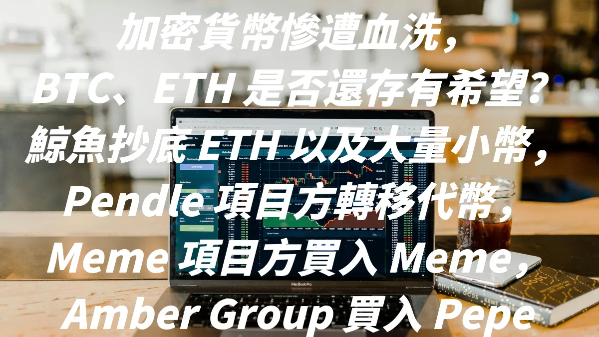 加密貨幣慘遭血洗，BTC、ETH 是否還存有希望？鯨魚抄底 ETH 以及大量小幣，Pendle 項目方轉移代幣，Meme 項目方買入 Meme，Amber Group 買入 Pepe