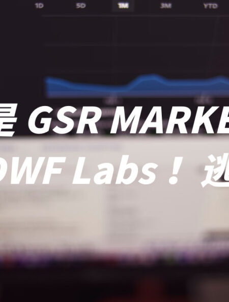 什麼是 GSR MARKETS ？ 第二個 DWF Labs ！逃頂指標？