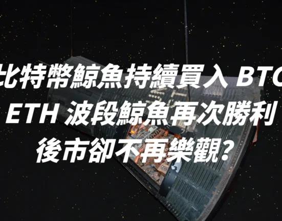 比特幣鯨魚持續買入 BTC，ETH 波段鯨魚再次勝利，後市卻不再樂觀？