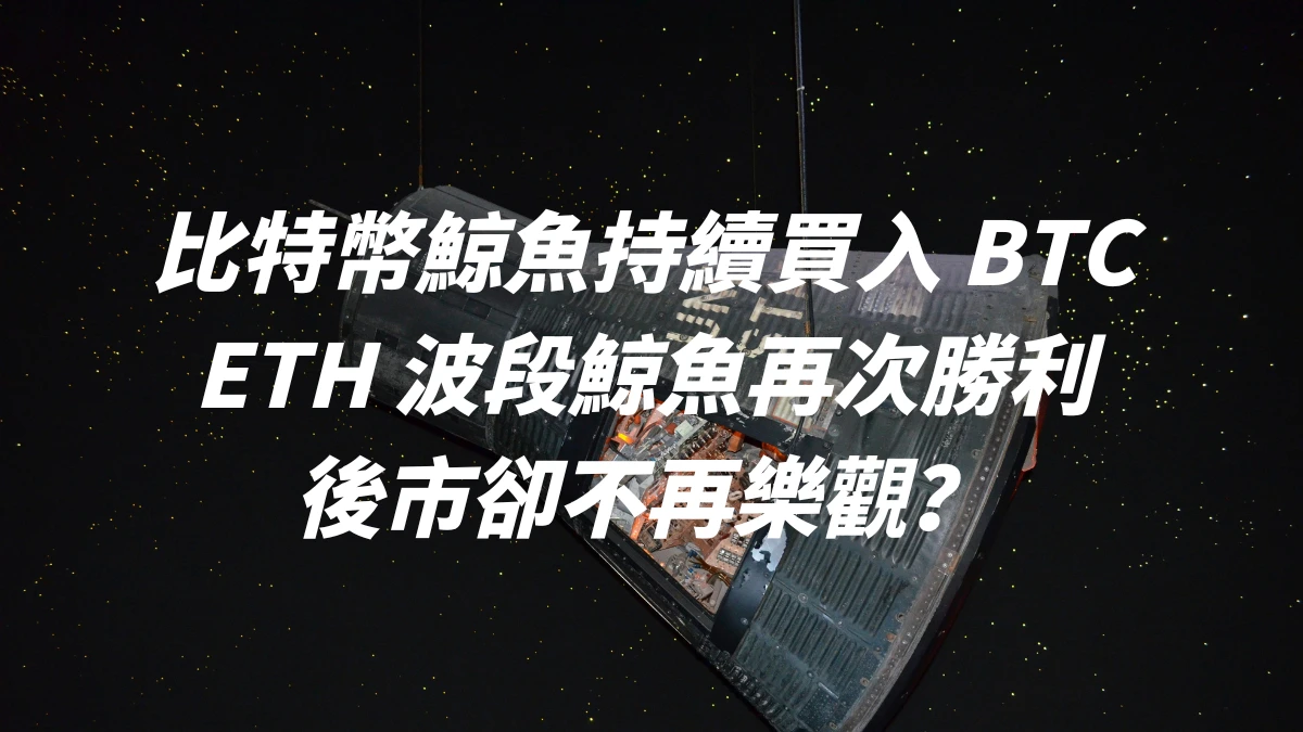 比特幣鯨魚持續買入 BTC，ETH 波段鯨魚再次勝利，後市卻不再樂觀？