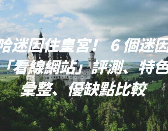 梭哈迷因住皇宮！ 6 個迷因幣 「看線網站」評測、特色彙整、優缺點比較