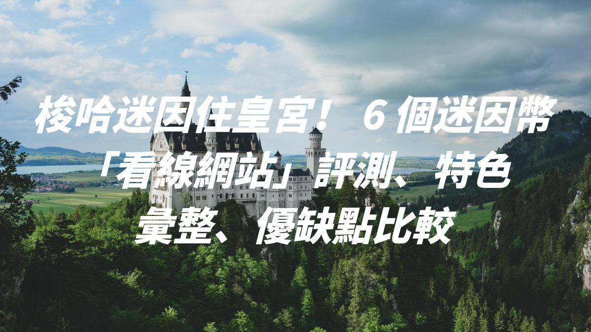 梭哈迷因住皇宮！ 6 個迷因幣 「看線網站」評測、特色彙整、優缺點比較