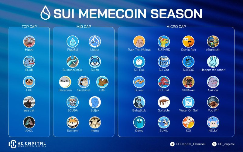 Sui Memecoin