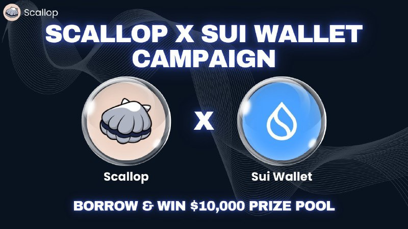 Scallop x SuiWallet 活動