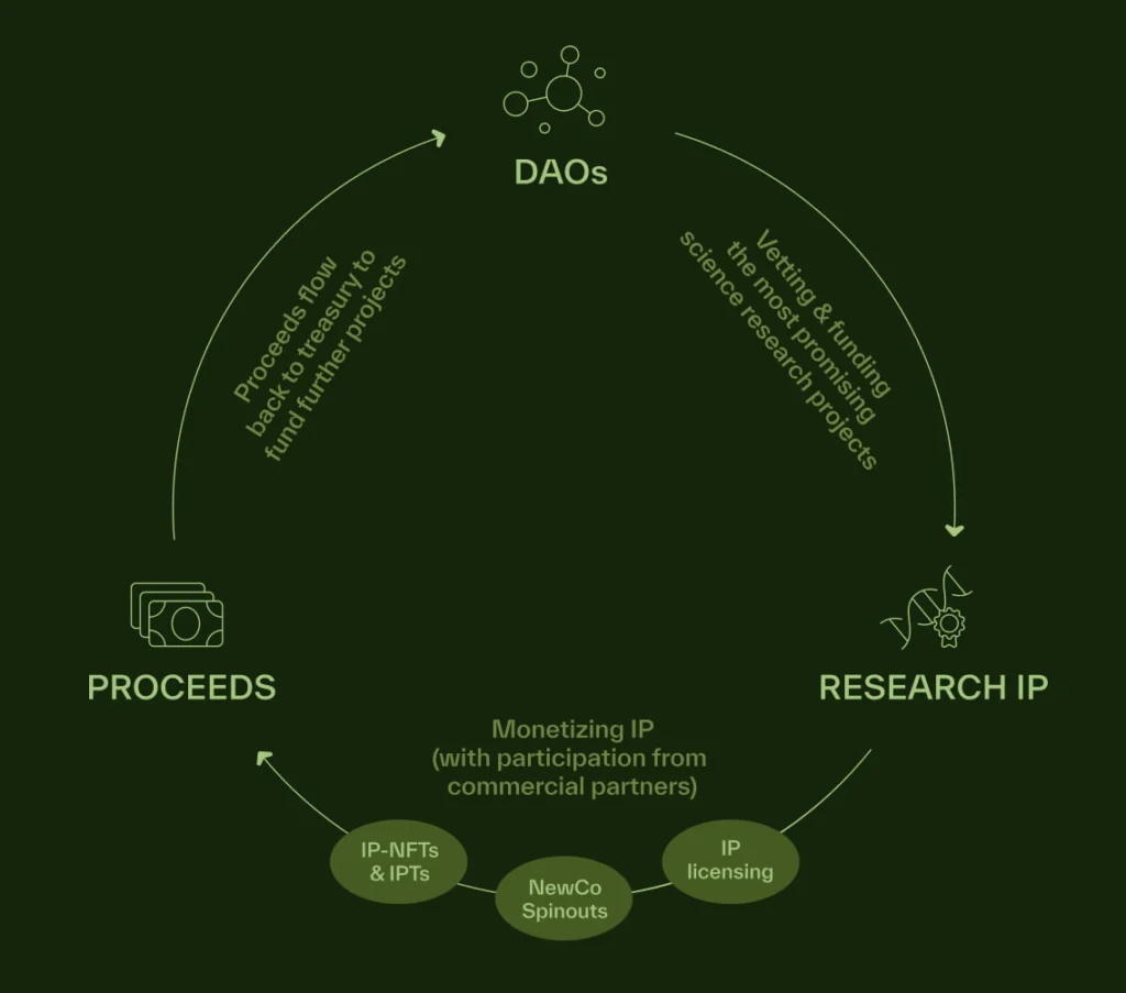 DeSci - Bio Protocol 獎勵循環