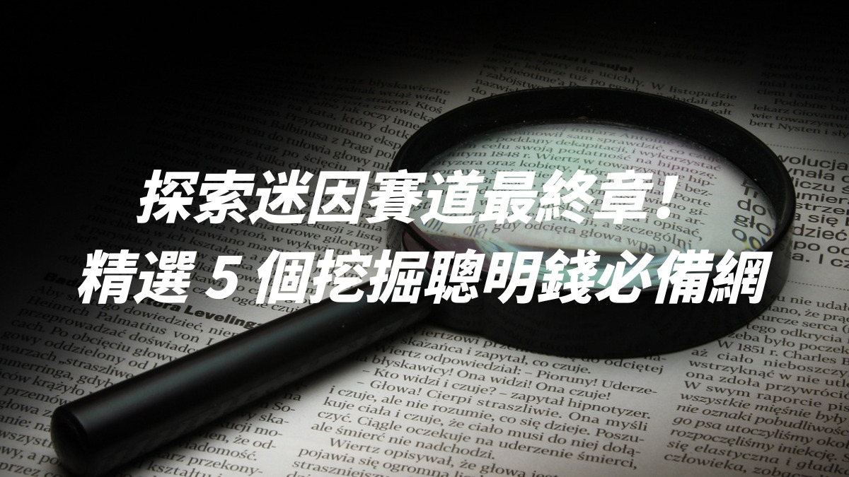 探索迷因賽道最終章！精選 5 個挖掘聰明錢必備網站