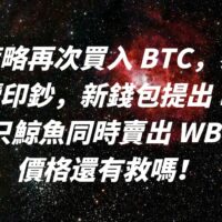 微策略再次買入 BTC，泰達繼續印鈔，新錢包提出 BTC ，5 只鯨魚同時賣出 WBTC，價格還有救嗎！