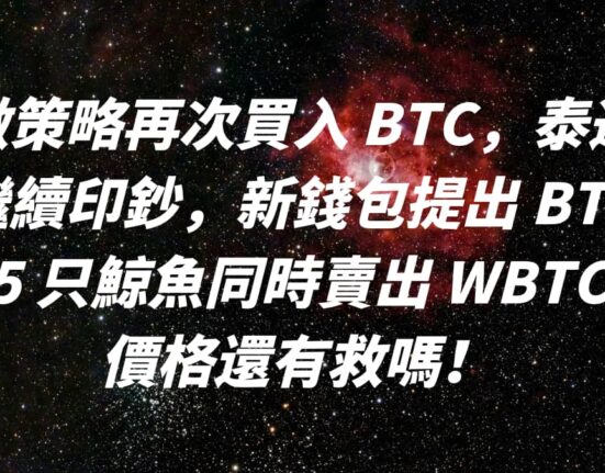 微策略再次買入 BTC，泰達繼續印鈔，新錢包提出 BTC ，5 只鯨魚同時賣出 WBTC，價格還有救嗎！