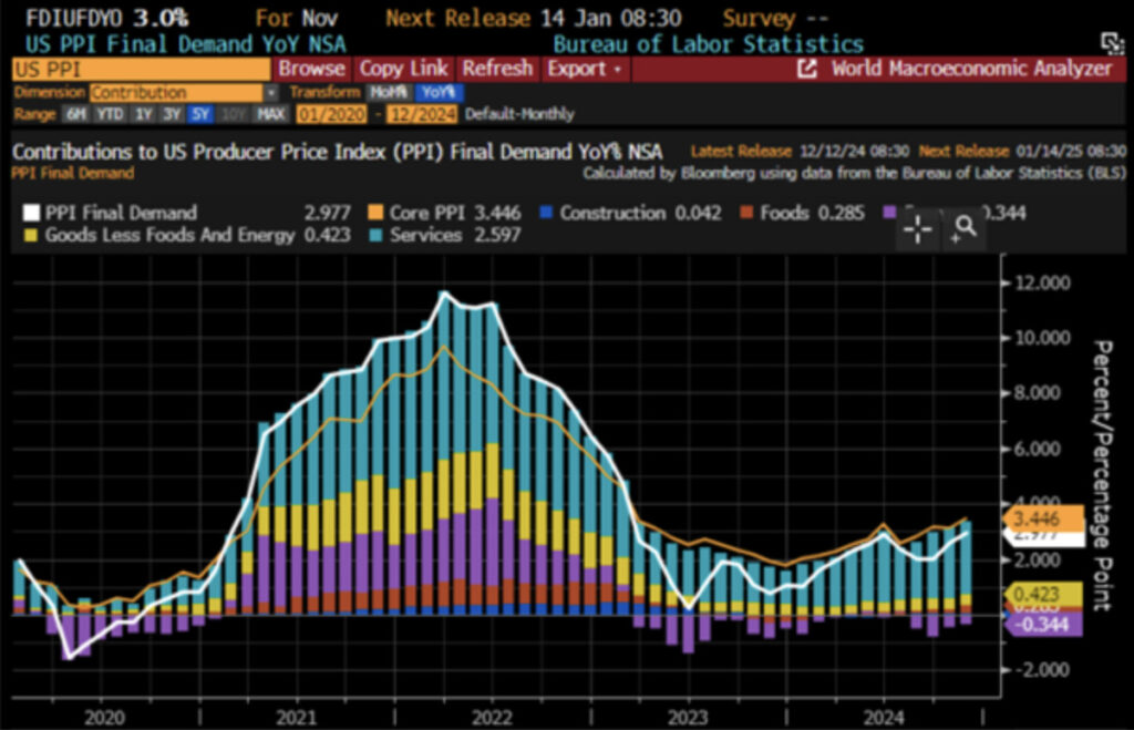 2024 年 11 月 CPI 與 PPI 數據分析：通脹壓力與結構性挑戰並存